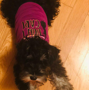 Meet your Posher, Ximena